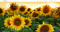 Desktop Screenshot of mayaeye.com